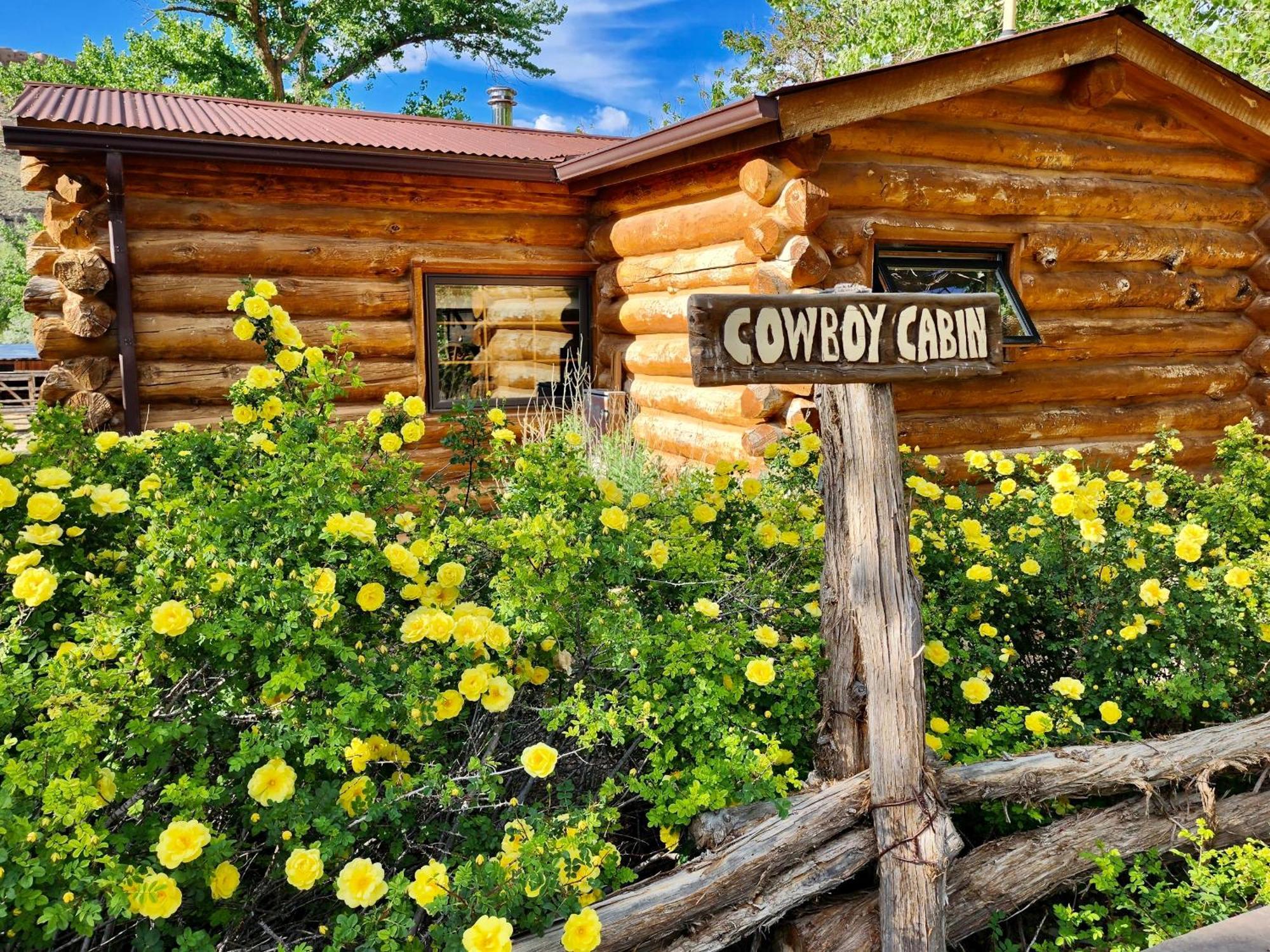 Canyon Of The Ancients Guest Ranch 코테즈 외부 사진